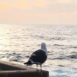 Meet your Posher, Claire